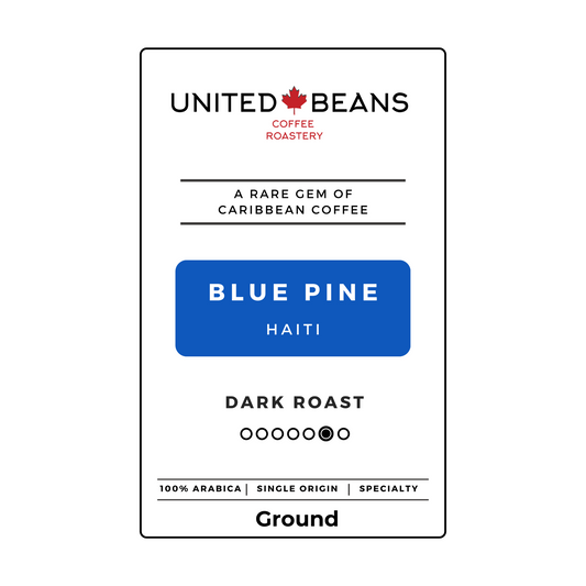Haiti Blue Pine | Ground Dark