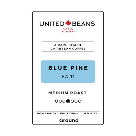 Haiti Blue Pine | Ground Medium