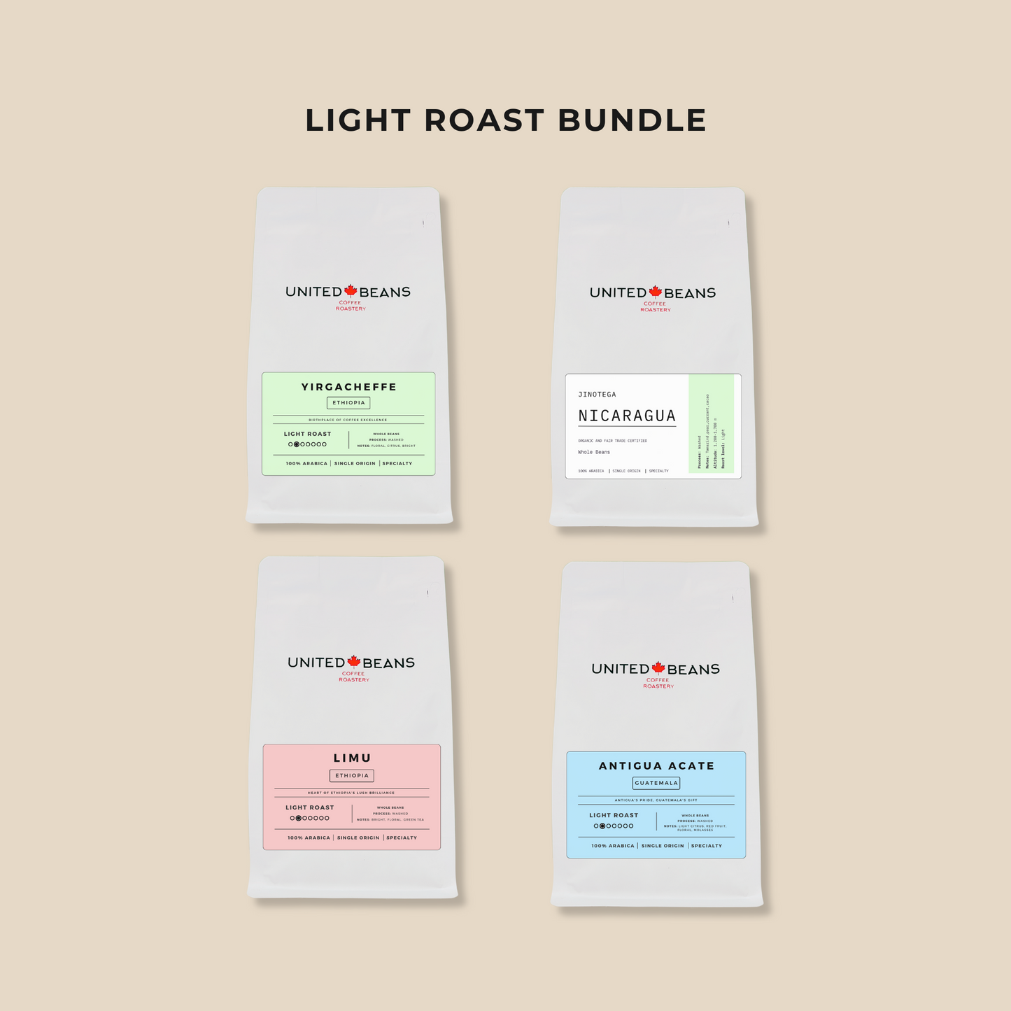 Light Roast Coffee Bundle | 4 bags