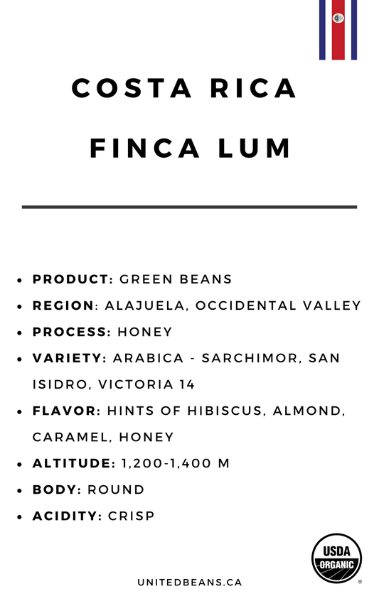 Costa Rica Finca Lum — Honey Green Coffee Beans — Hibiscus, Almond and Honey - United Beans specialty coffee beans in Canada