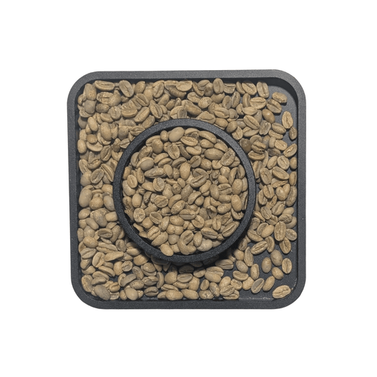 Ethiopia Lekempti Natural G4 — Green Coffee Beans — Dried Fruit, Cocoa and Sweet Spice - United Beans specialty coffee beans in Canada