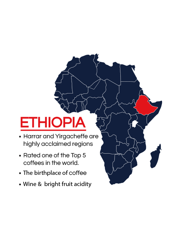Yirgacheffe Ethiopia | Medium - United Beans