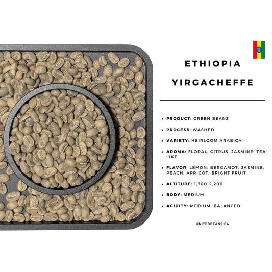 Ethiopia Yirgacheffe Washed G2 — Green Coffee Beans — Jasmine, Lemon and Berry Sweet - United Beans specialty coffee beans in Canada