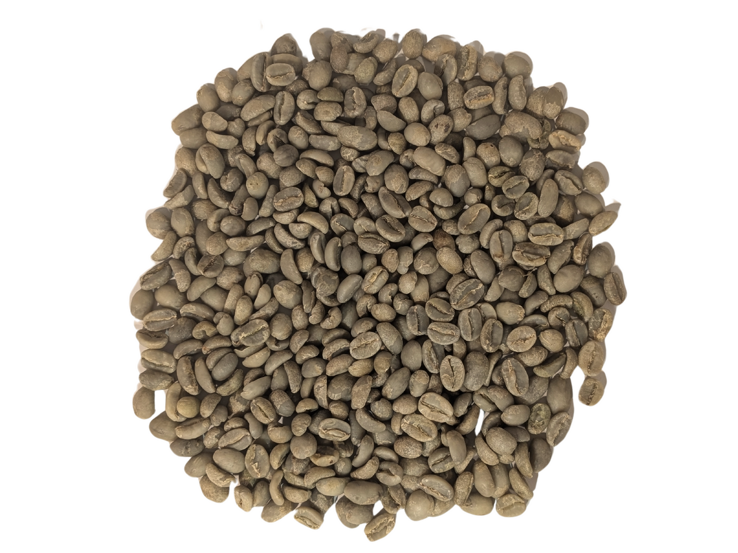 Green Coffee Beans | Ethiopia Yirgacheffe - United Beans