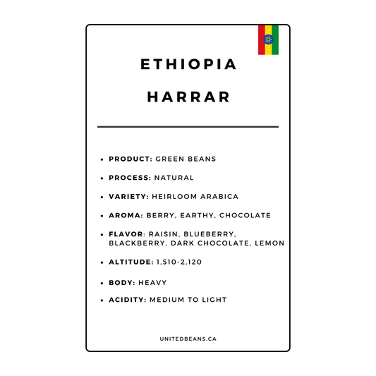 Green Coffee Beans | Ethiopia Harrar - United Beans specialty coffee beans in Canada