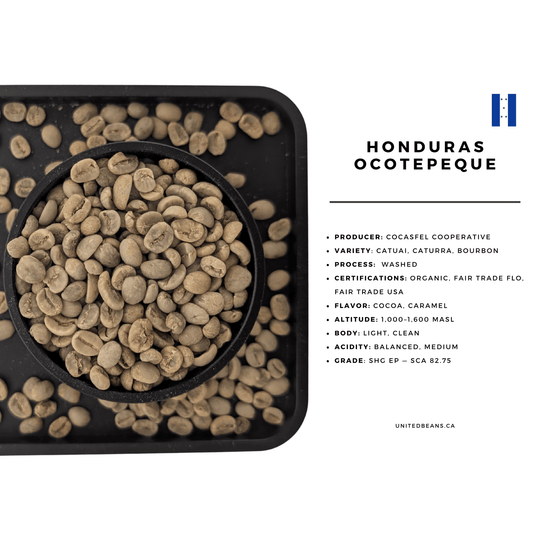 Honduras Ocotepeque FTO Green Coffee Beans - United Beans specialty coffee beans in Canada