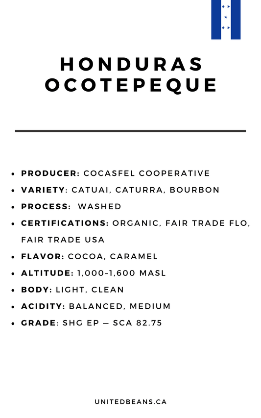 Honduras Ocotepeque FTO Green Coffee Beans - United Beans specialty coffee beans in Canada