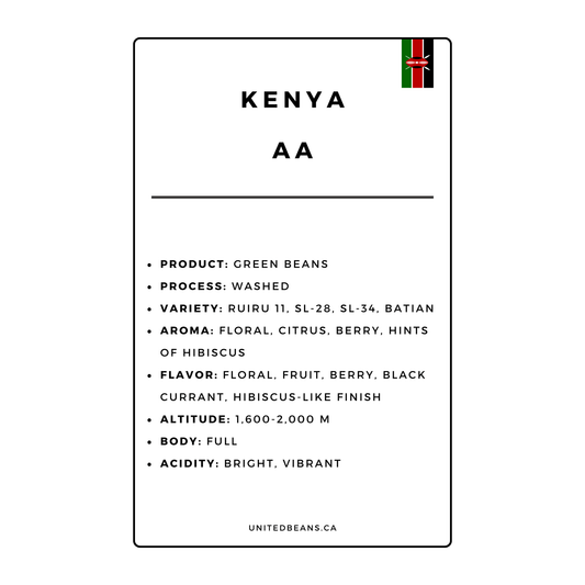 Kenya AA Plus Green Coffee Beans - United Beans specialty coffee beans in Canada