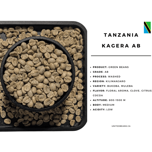 Tanzania Kagera AB | Green Coffee Beans - United Beans specialty coffee beans in Canada