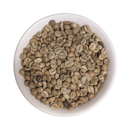 Uganda Robusta SC18 | Green Coffee Beans - United Beans specialty coffee beans in Canada