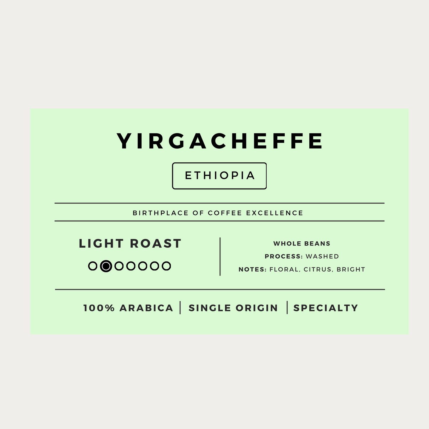 Light Roast Coffee Bundle | 4 bags