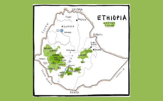 Guide to Ethiopian Green Coffee Origins