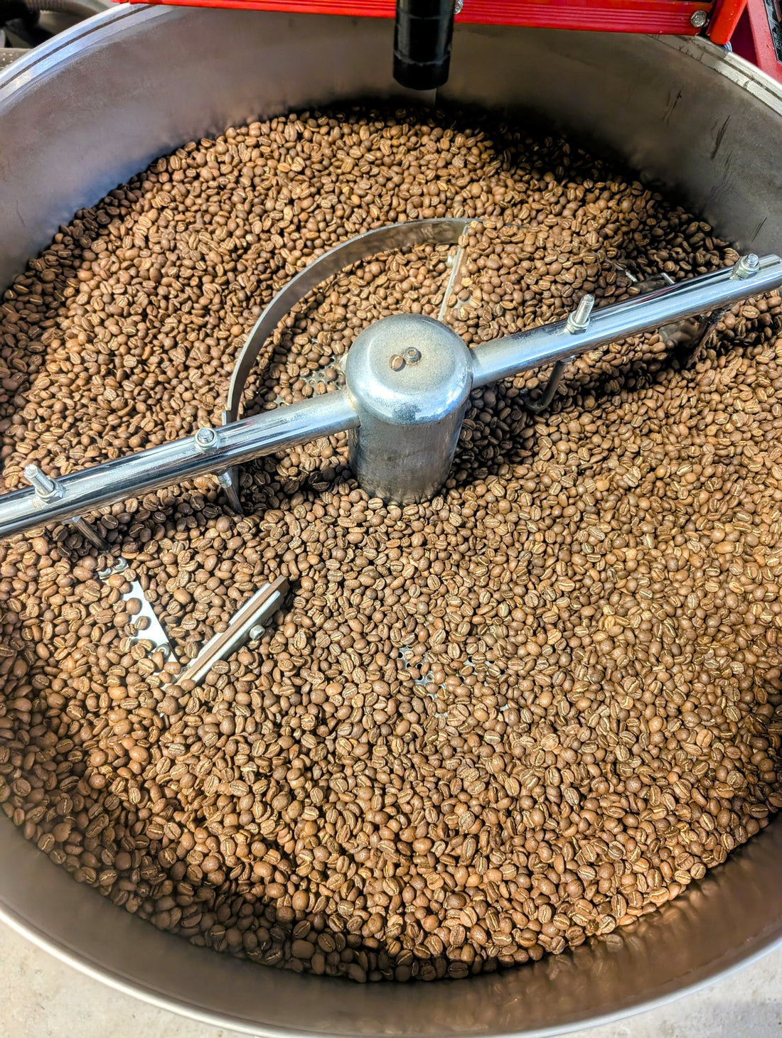 Why Freshness Is King: Inside United Beans’ Small-Batch Roasting