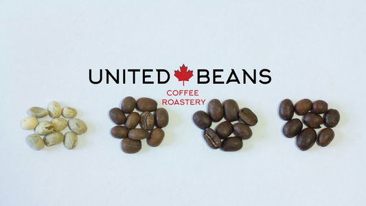 The Journey of United Beans: From Volcanic Heights to Your Cup