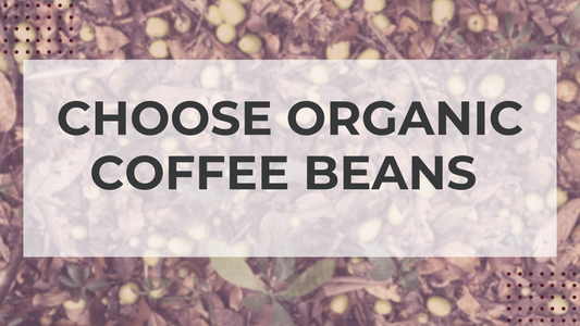 Why Organic Coffee Beans Should Be Your First Choice