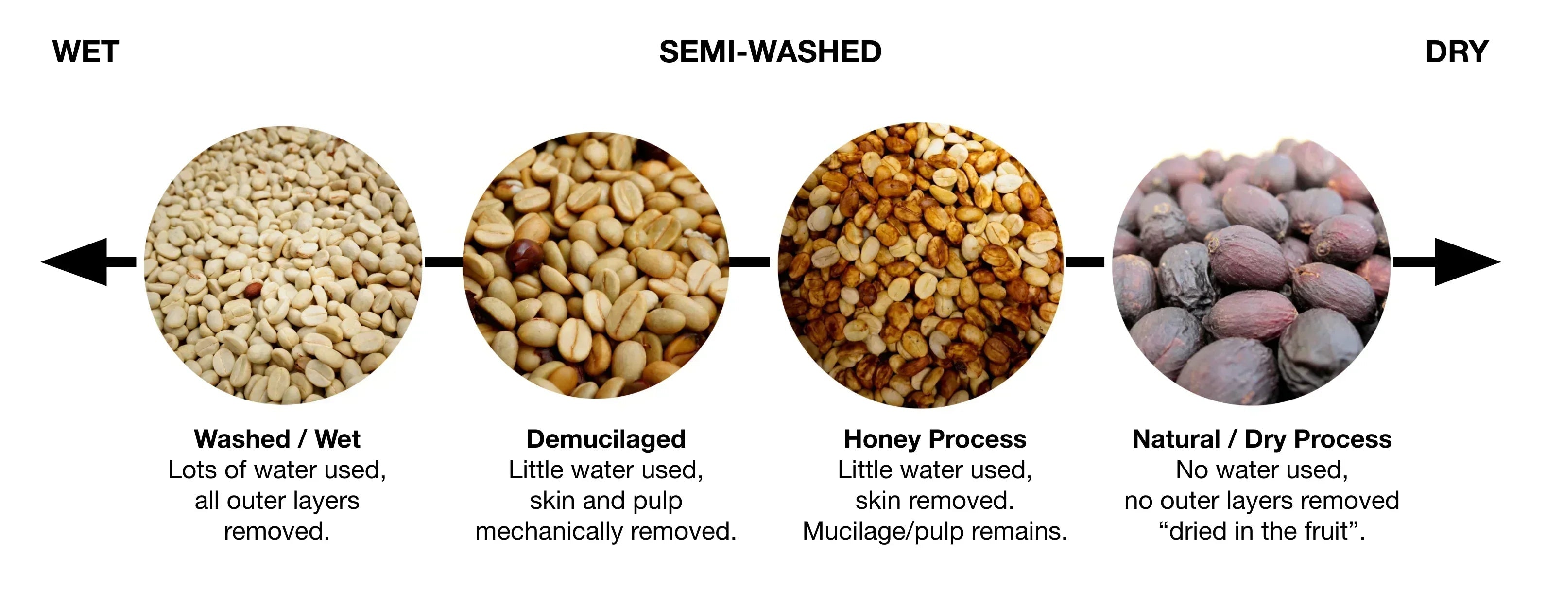 Coffee Processing Methods ECoffee Processing Methods Explained: Washed ...