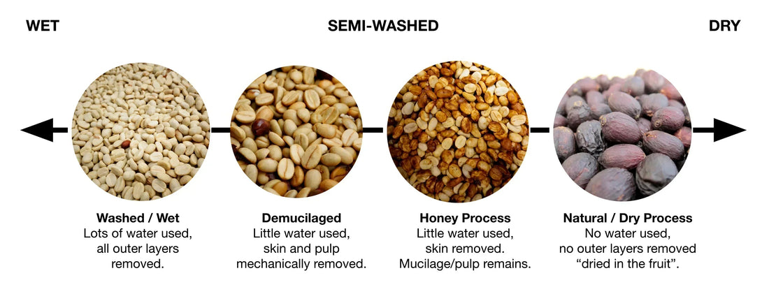 Coffee Processing Methods Explained: Washed vs Natural vs Honey - United Beans