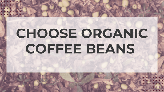 Why Organic Coffee Beans Should Be Your First Choice - United Beans