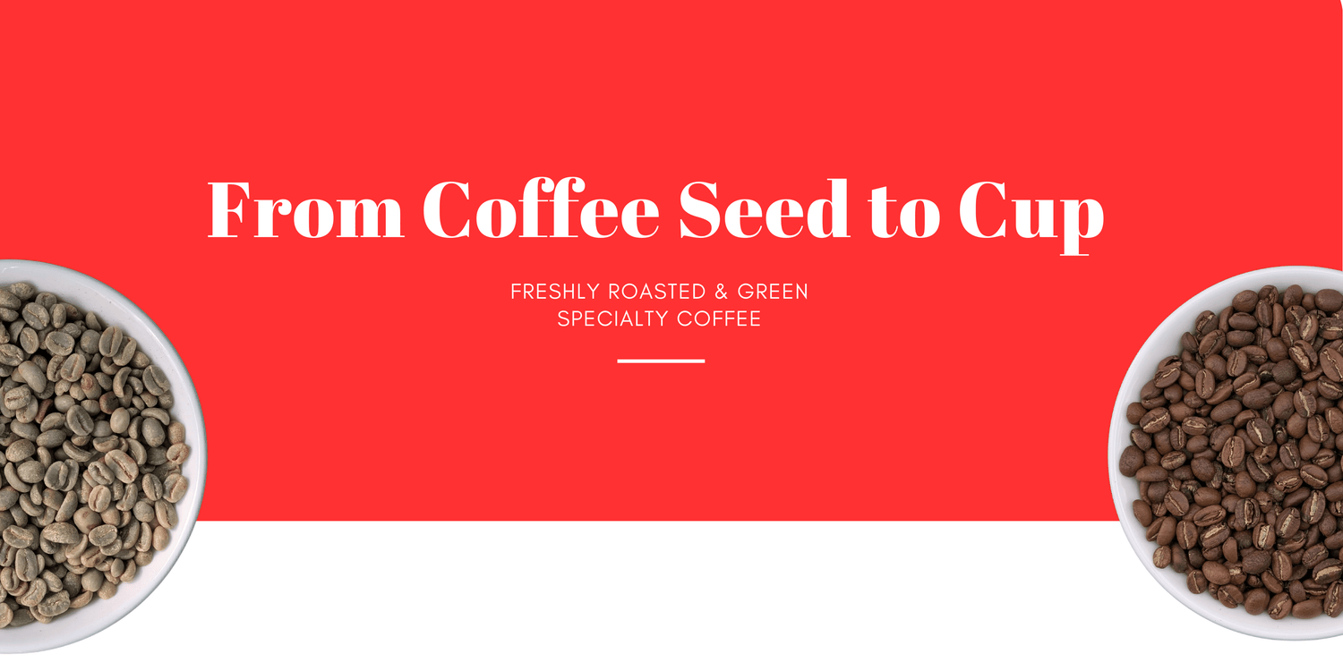 The Coffee Collection - United Beans