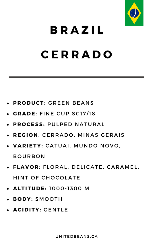 Brazil Cerrado Semi-Washed (Pulped Natural) - Green Coffee Beans