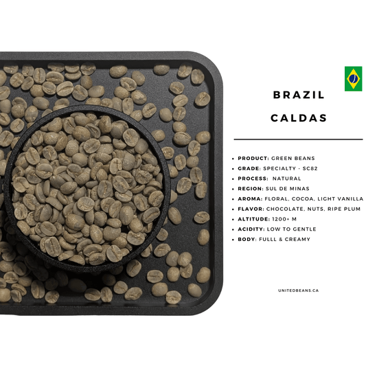 Caldas Natural- Brazilian Green Coffee Beans