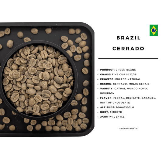 Brazil Cerrado Semi-Washed (Pulped Natural) - Green Coffee Beans
