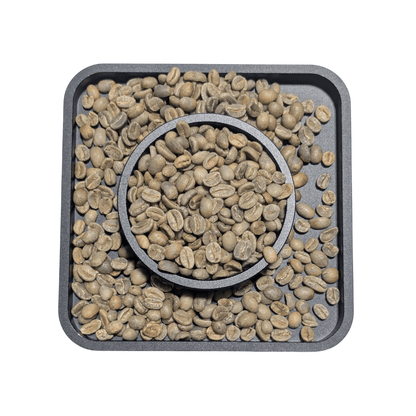 Colombia Pradera Organic Single Farm | Green Coffee Beans