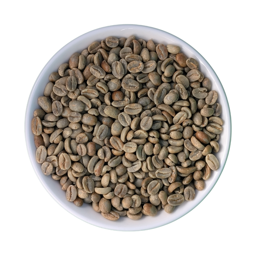 Organic Honey Process Green Coffee Beans | Costa Rica Lum Farm