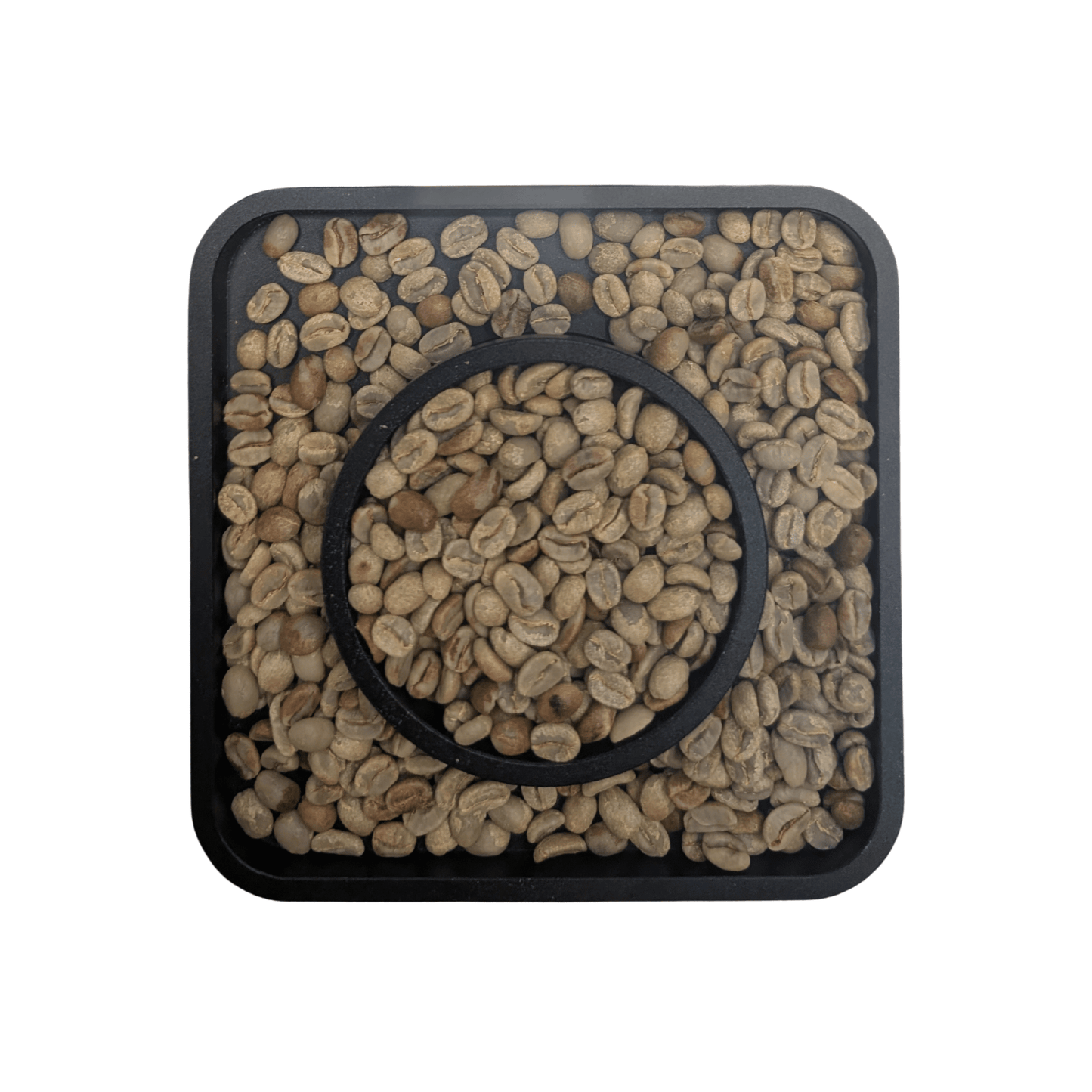 Costa Rica Tarrazu El Cipres Red Honey Microlot Green Coffee