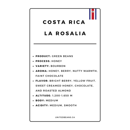 Green Coffee Beans | Costa Rica La Rosalia - United Beans