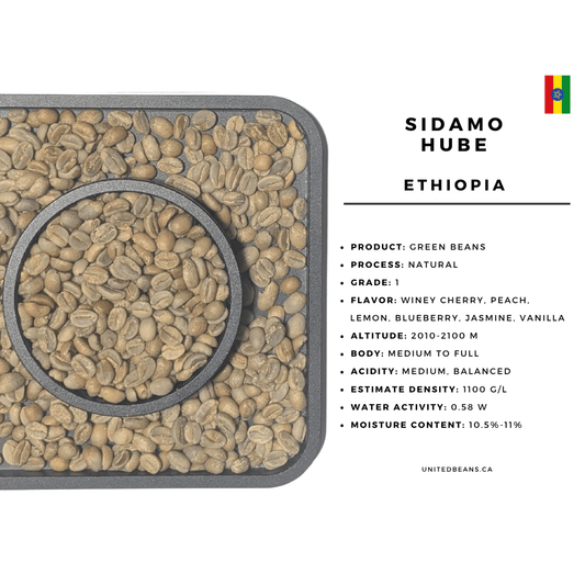 Ethiopia Sidamo Hube natural green coffee beans — 74110 74112 arabica varieties Hurro Baro Sidama natural process