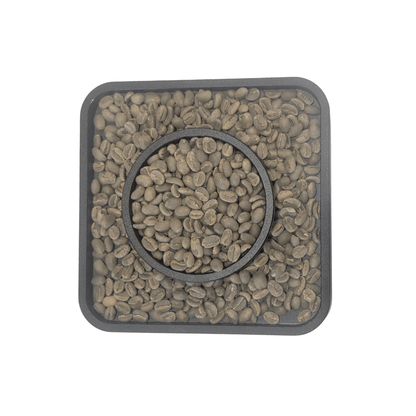 Ethiopian green coffee beans grade 1 sold in Canada