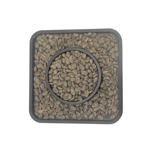 Ethiopian green coffee beans grade 1 sold in Canada