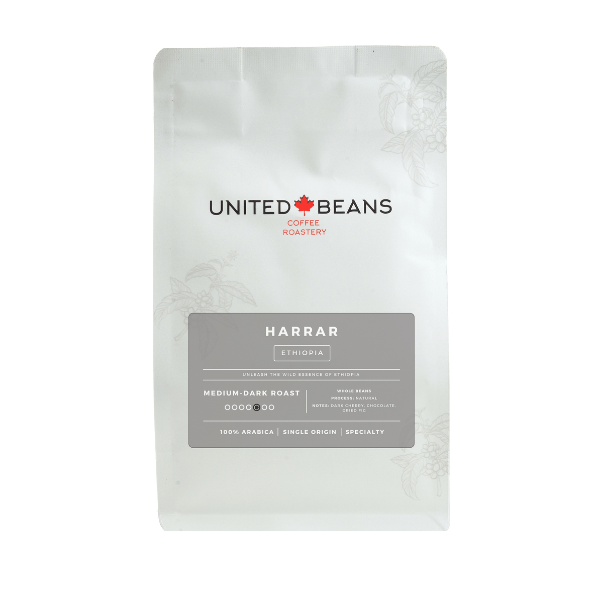 Harrar Ethiopia | Medium-Dark