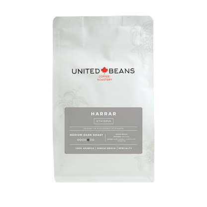 Harrar Ethiopia | Medium-Dark