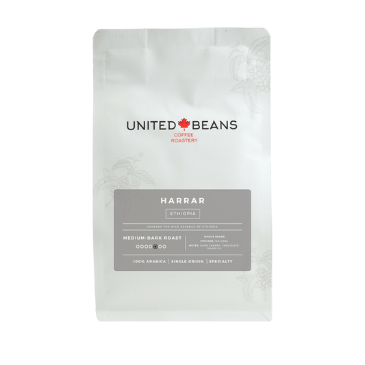 Harrar Ethiopia | Medium-Dark