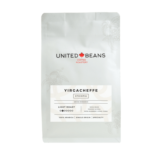 Ethiopian Yirgacheffe Aricha - Light Roast