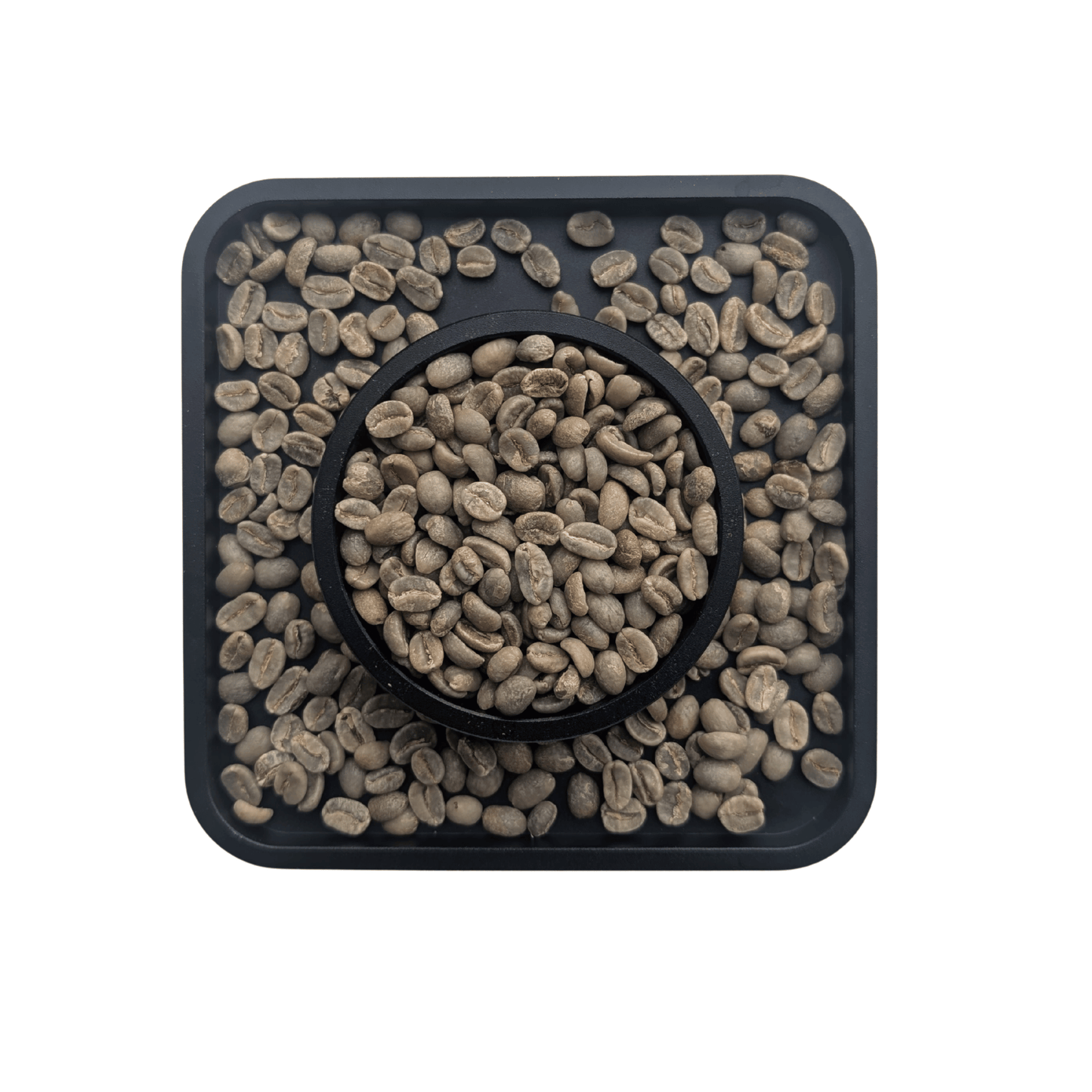 Colombia Valledupar washed green coffee beans — FNC sourced Cenicafe1 Castillo washed process unroasted specialty Canada