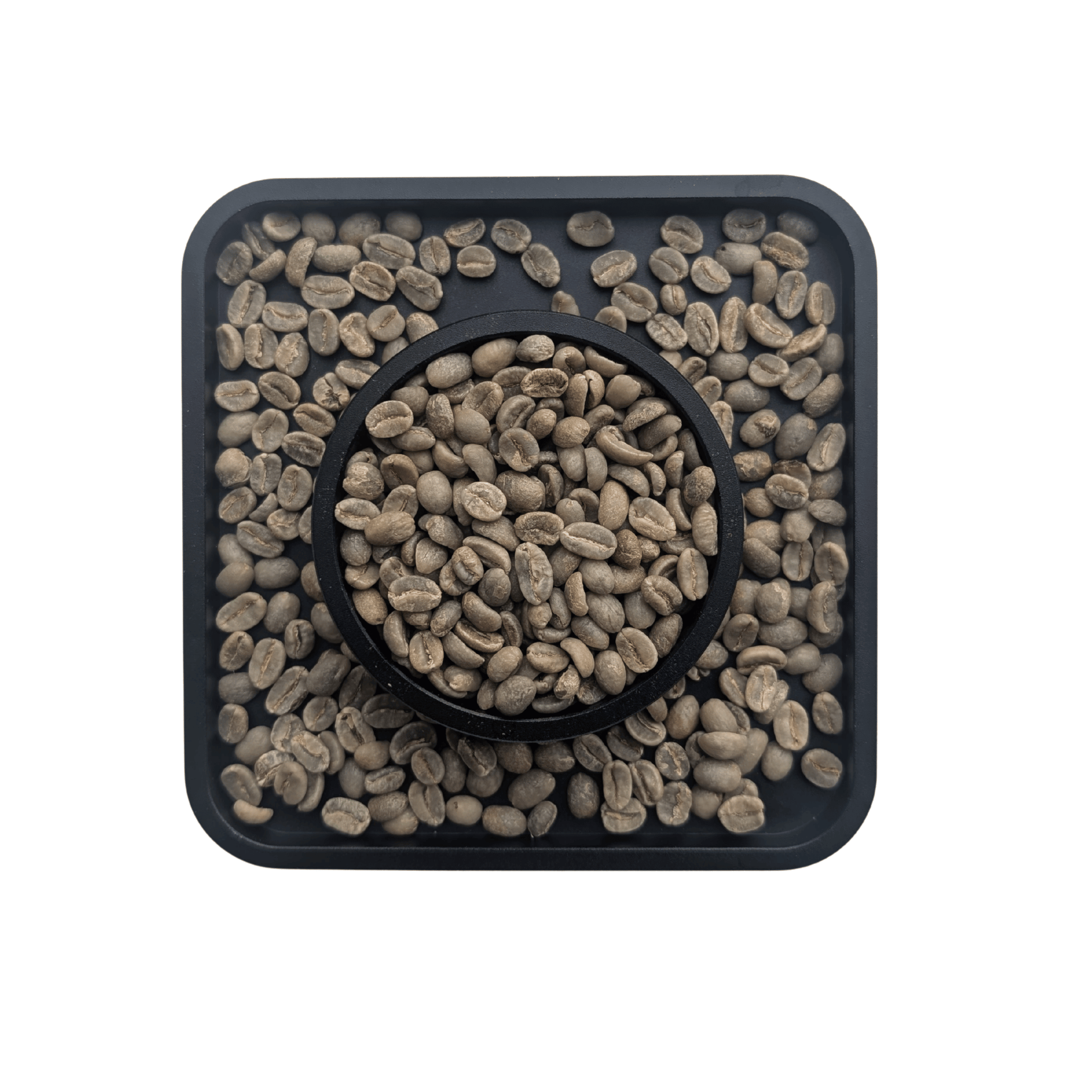 Colombia Valledupar washed green coffee beans — FNC sourced Cenicafe1 Castillo washed process unroasted specialty Canada