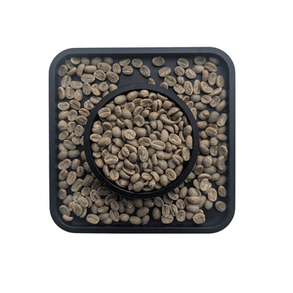 Colombia Valledupar washed green coffee beans — FNC sourced Cenicafe1 Castillo washed process unroasted specialty Canada