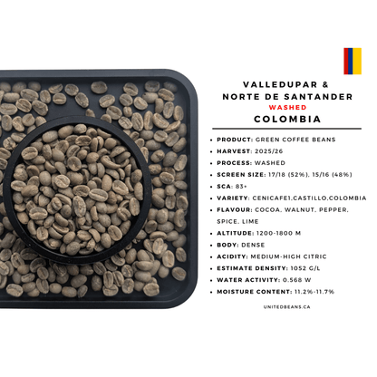 Colombia Valledupar washed green coffee beans bag — FNC Cenicafe1 Castillo 2025 harvest specialty wholesale espresso Canada