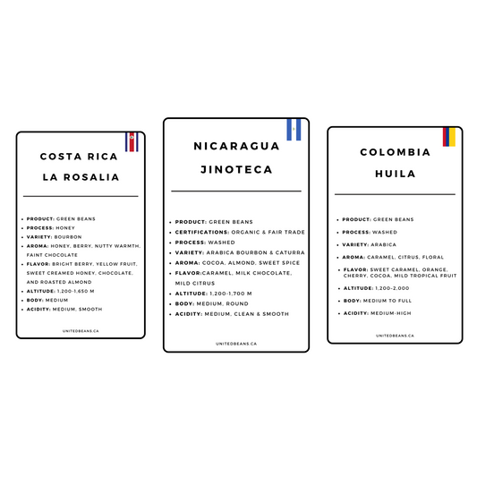 Green Beans | Latin American Sampler