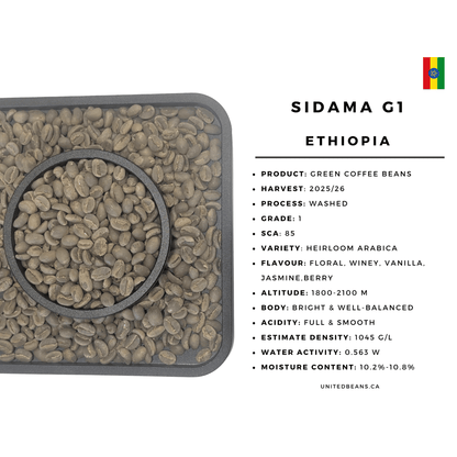 Ethiopia Sidama G1 Washed — Green Coffee Beans