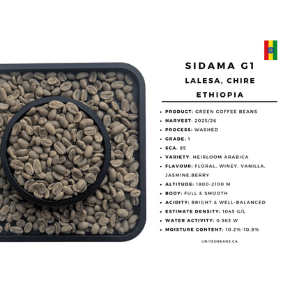 Ethiopia Sidama Chire G1 Washed — Green Coffee Beans