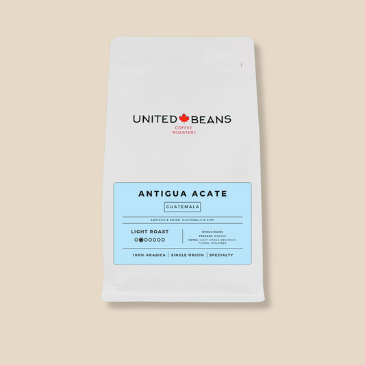Guatemala Antigua | Light Roast