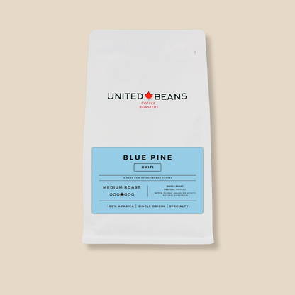 Blue Pine Haiti | Medium