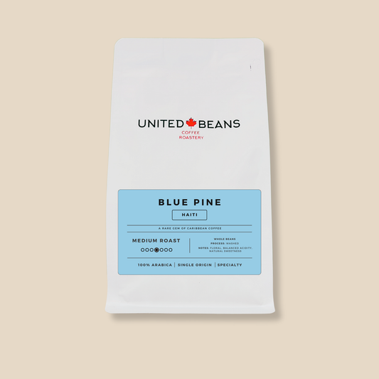 Blue Pine Haiti | Medium