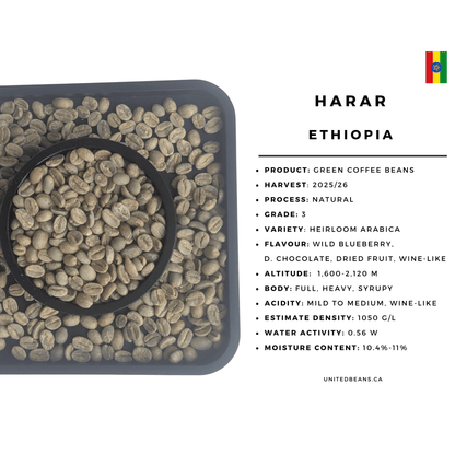 Ethiopia Harrar G3 Natural - Green Coffee Beans