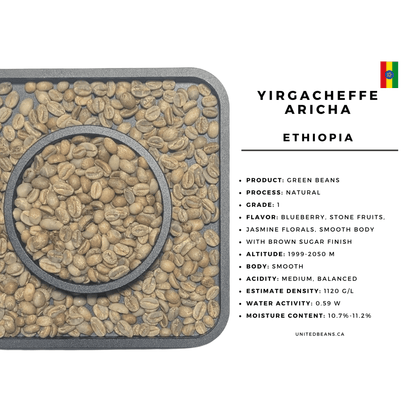 Ethiopia Yirgacheffe Aricha — G1 Natural Green Coffee Beans — Blueberry, Stone Fruit and Jasmine