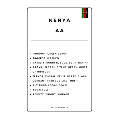 Green Coffee Beans | Kenya AA FAQ+ - United Beans